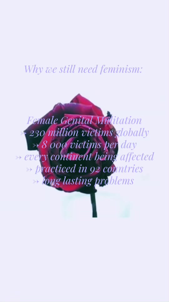 @🪷🦢📑