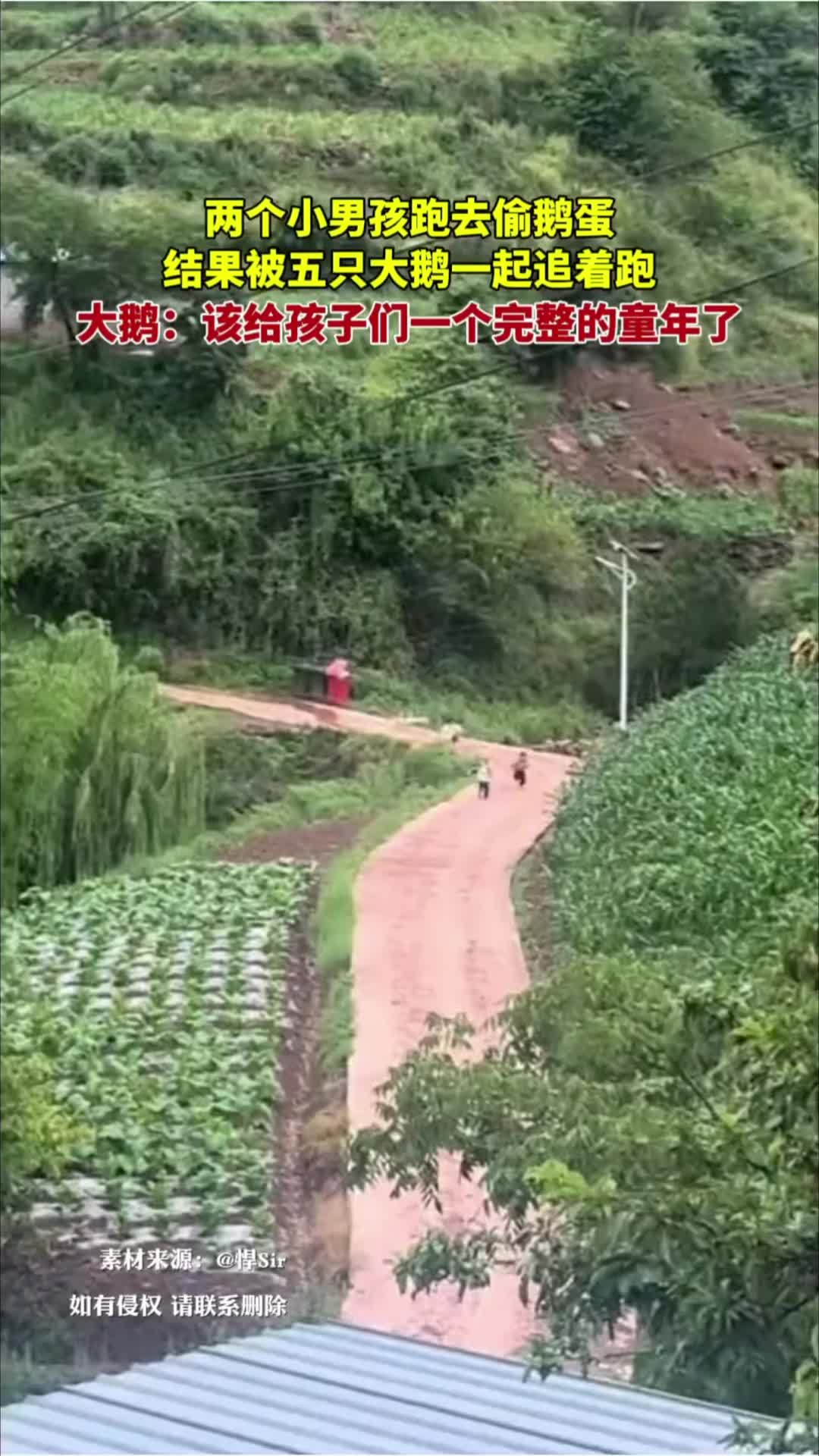 @中国蓝国际