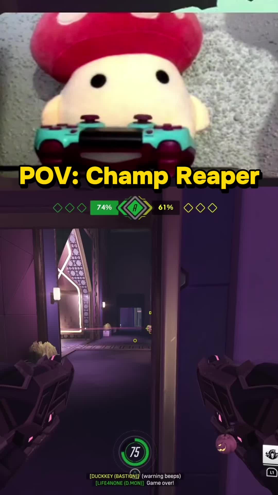 @drmushroom4
