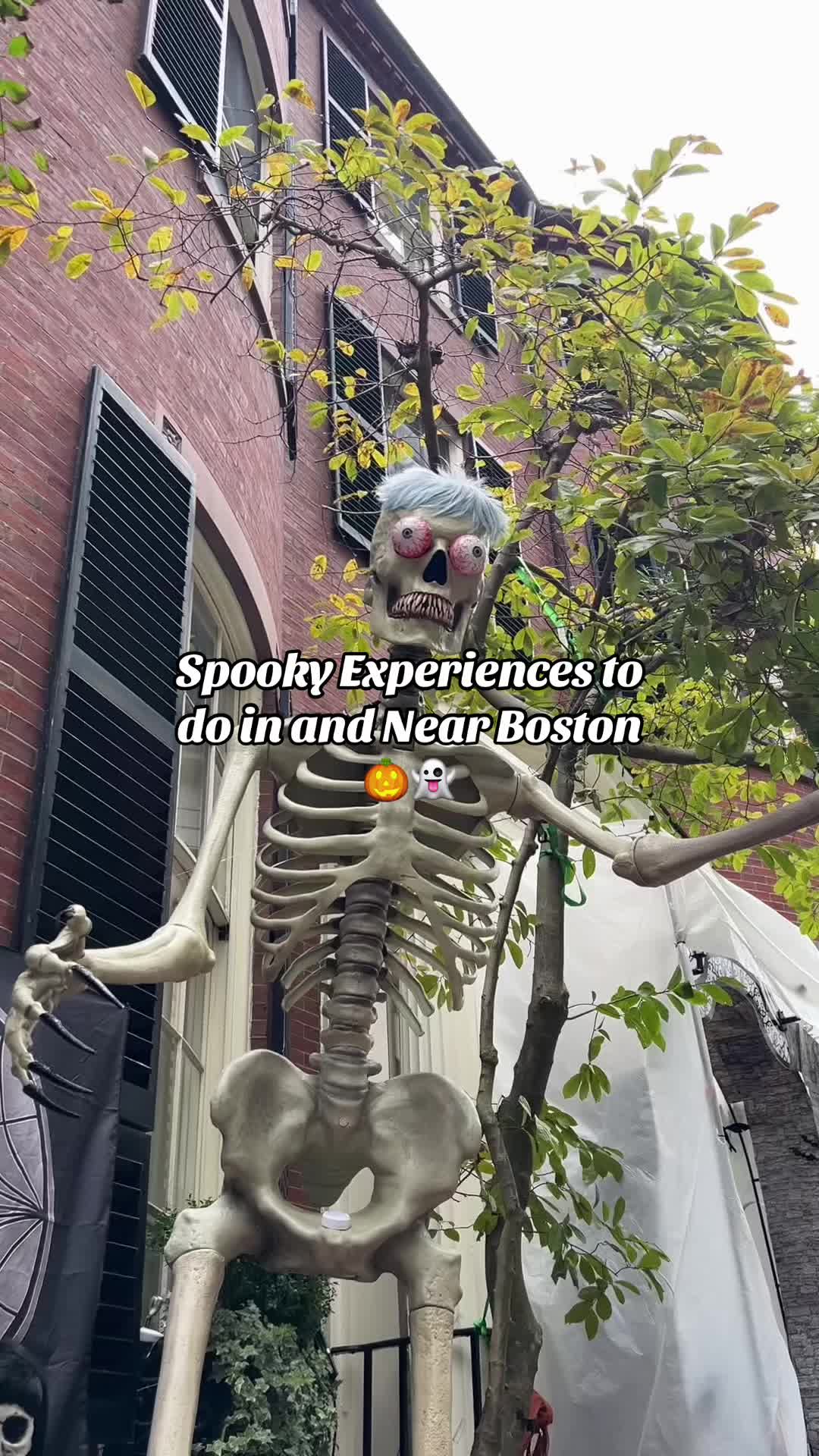 @Meet Boston