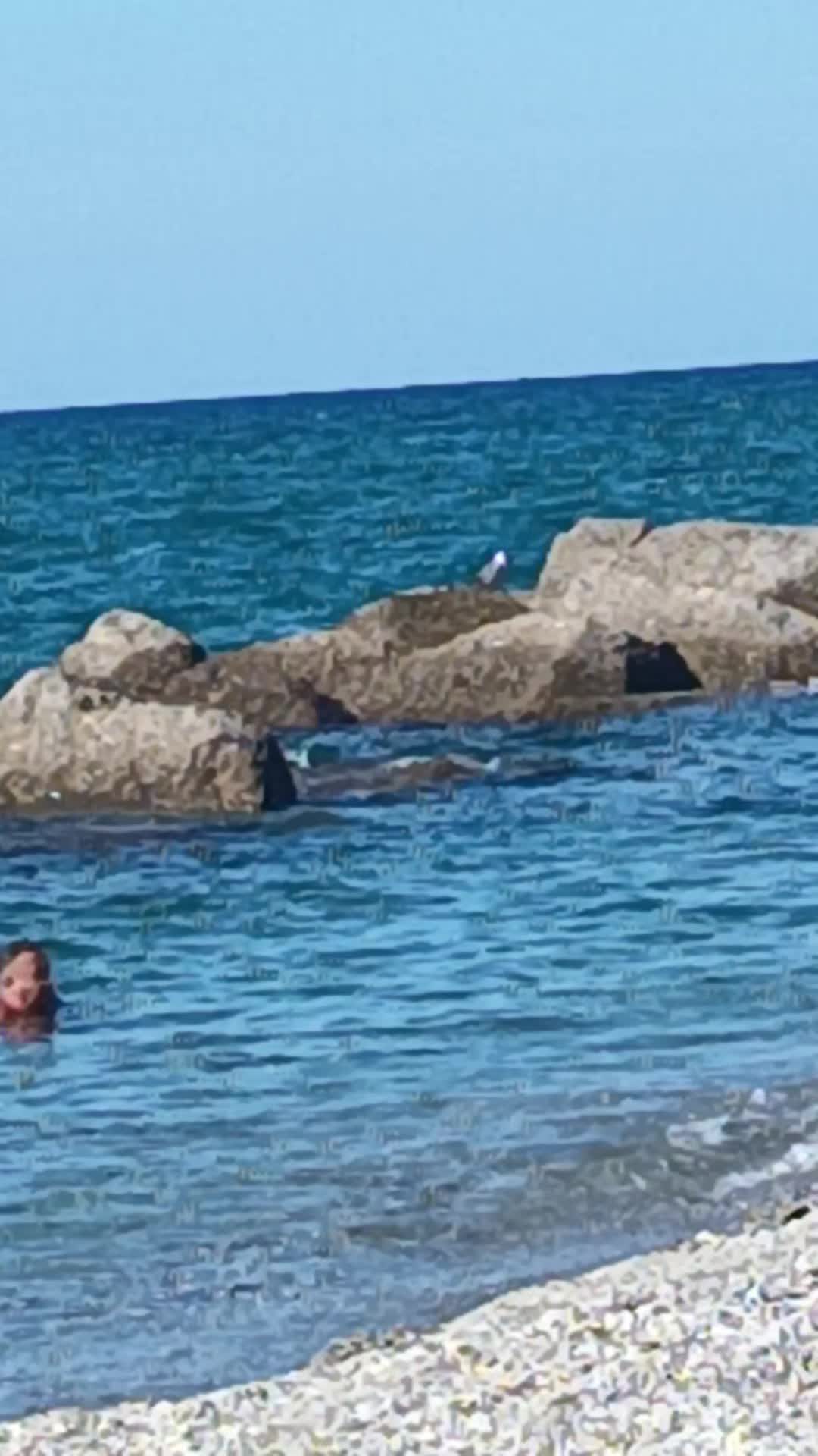 @chiaratripodo1