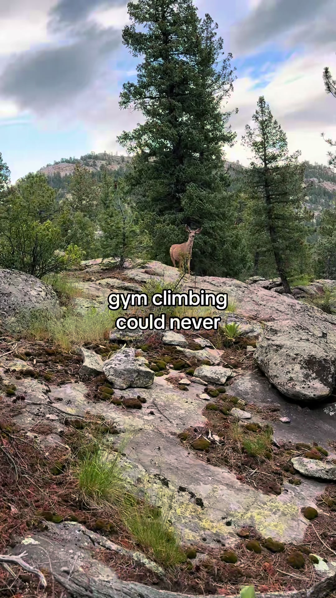 @gotouchrock