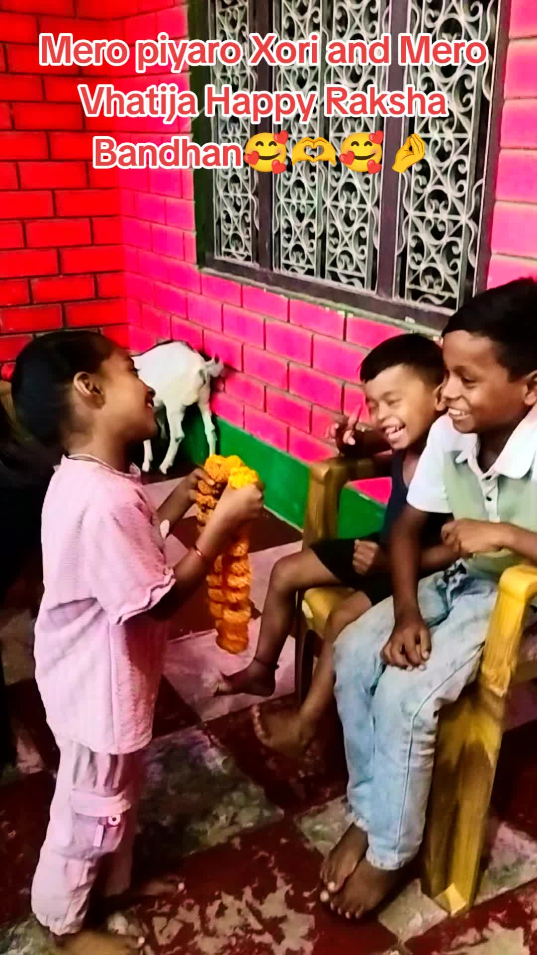 @Rdx Matibul Raza