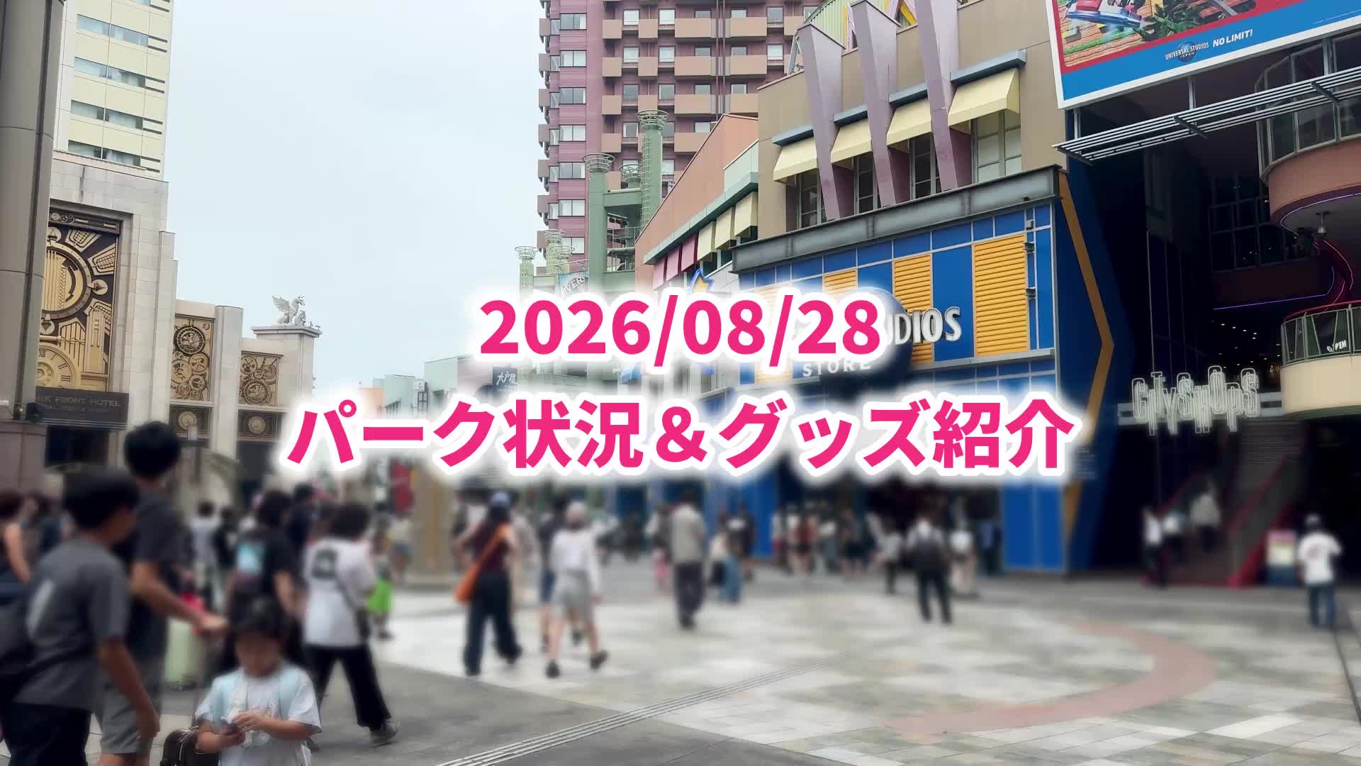 @しんるぴ 〜USJのある生活〜