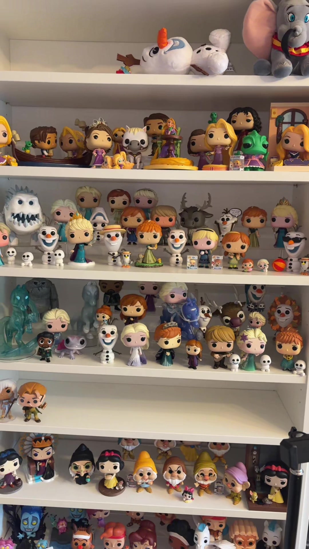 @The Magical Collector ✨️
