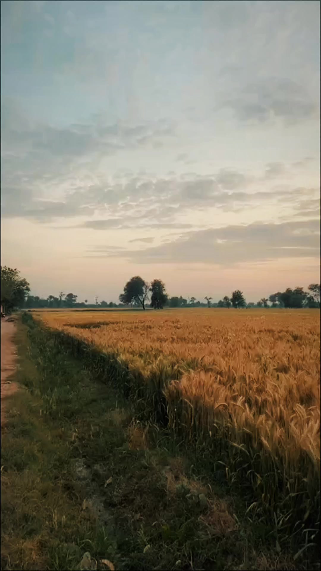 @Ghufran mujtaba