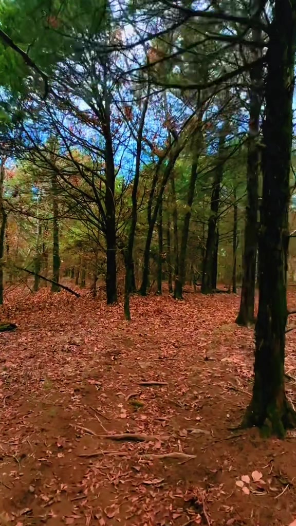@Davin: Hiking + Outdoors