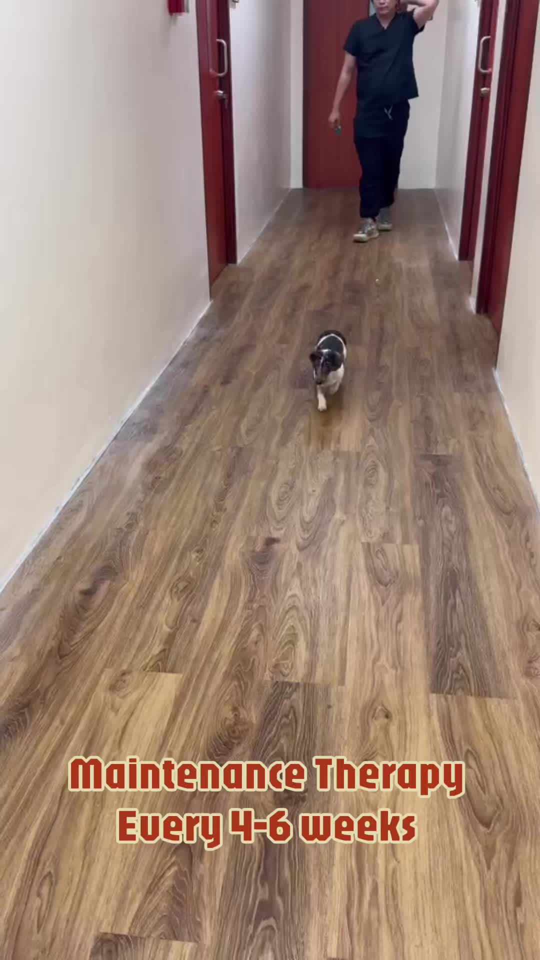 @PrincessGanda_doxie