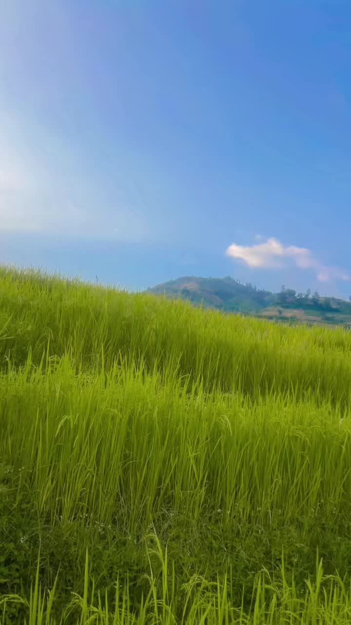 @Karmatmg