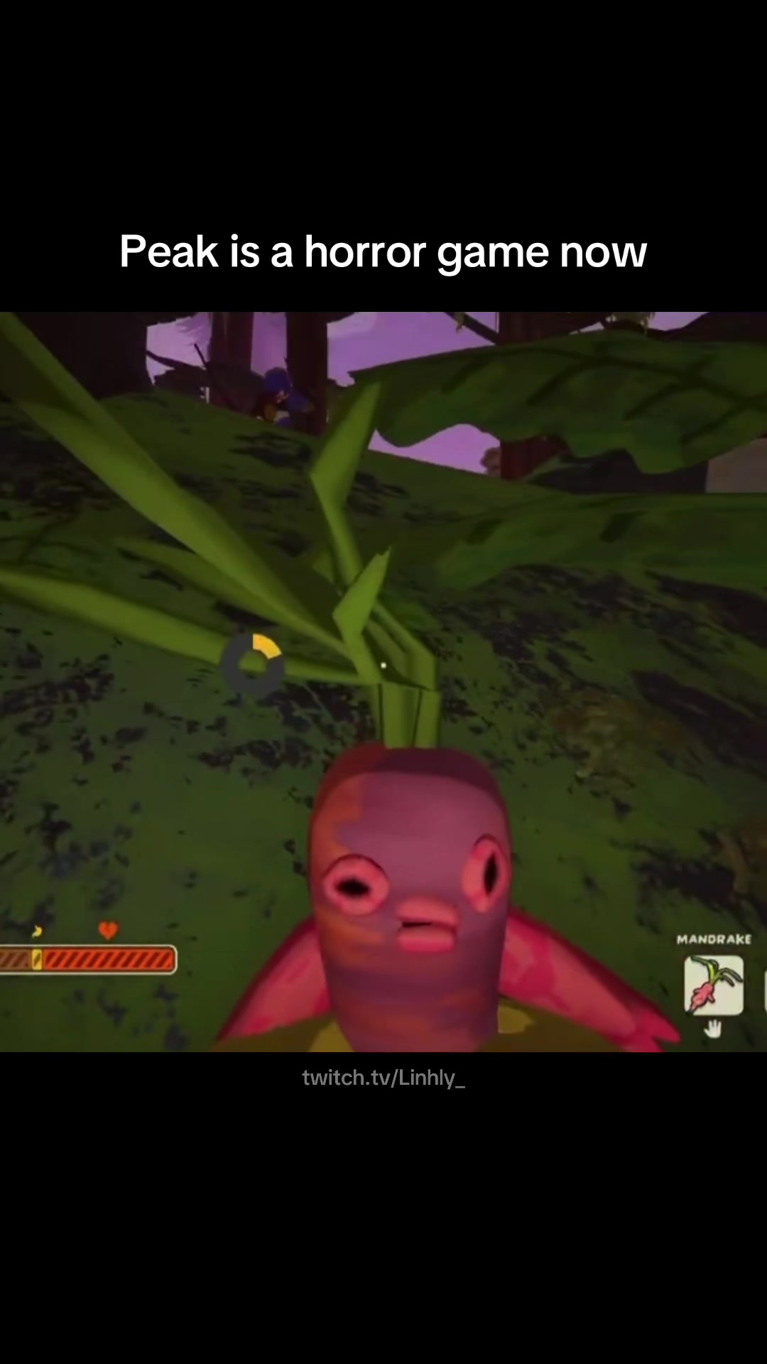 @twitch.tv/Linhly_