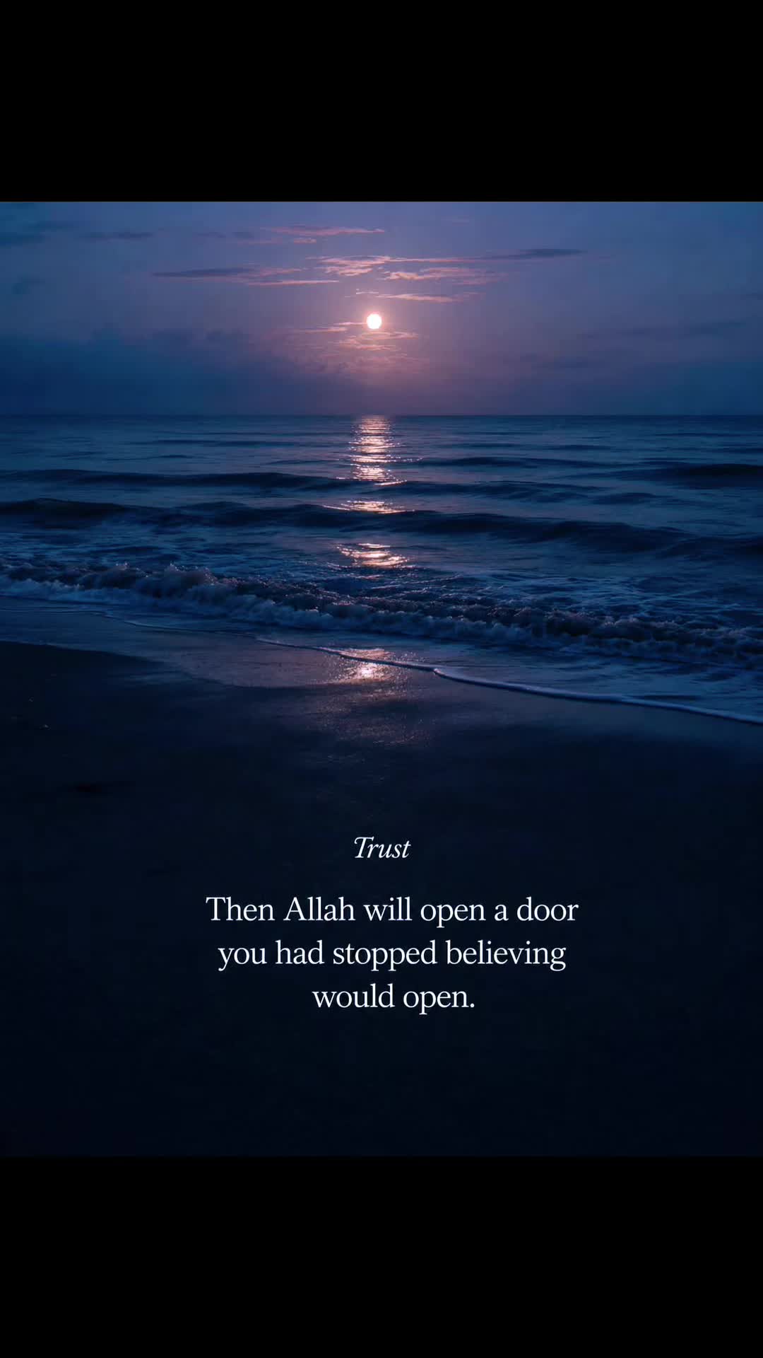 @Sidi Vibe 🇵🇸☝🏼🕋🤲🏼🌹