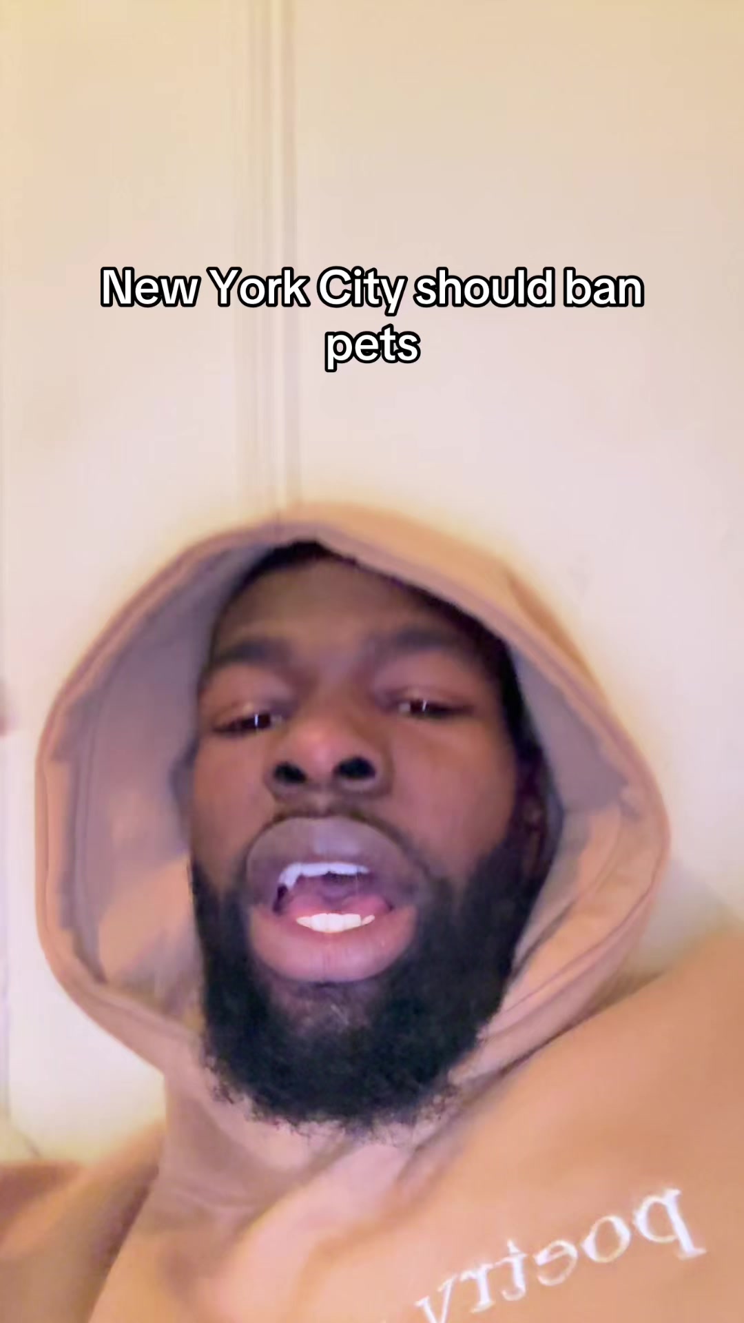 @hollywoodju