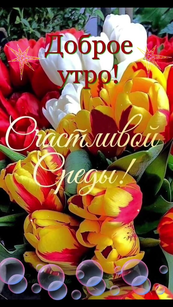 @vtekhinvadim