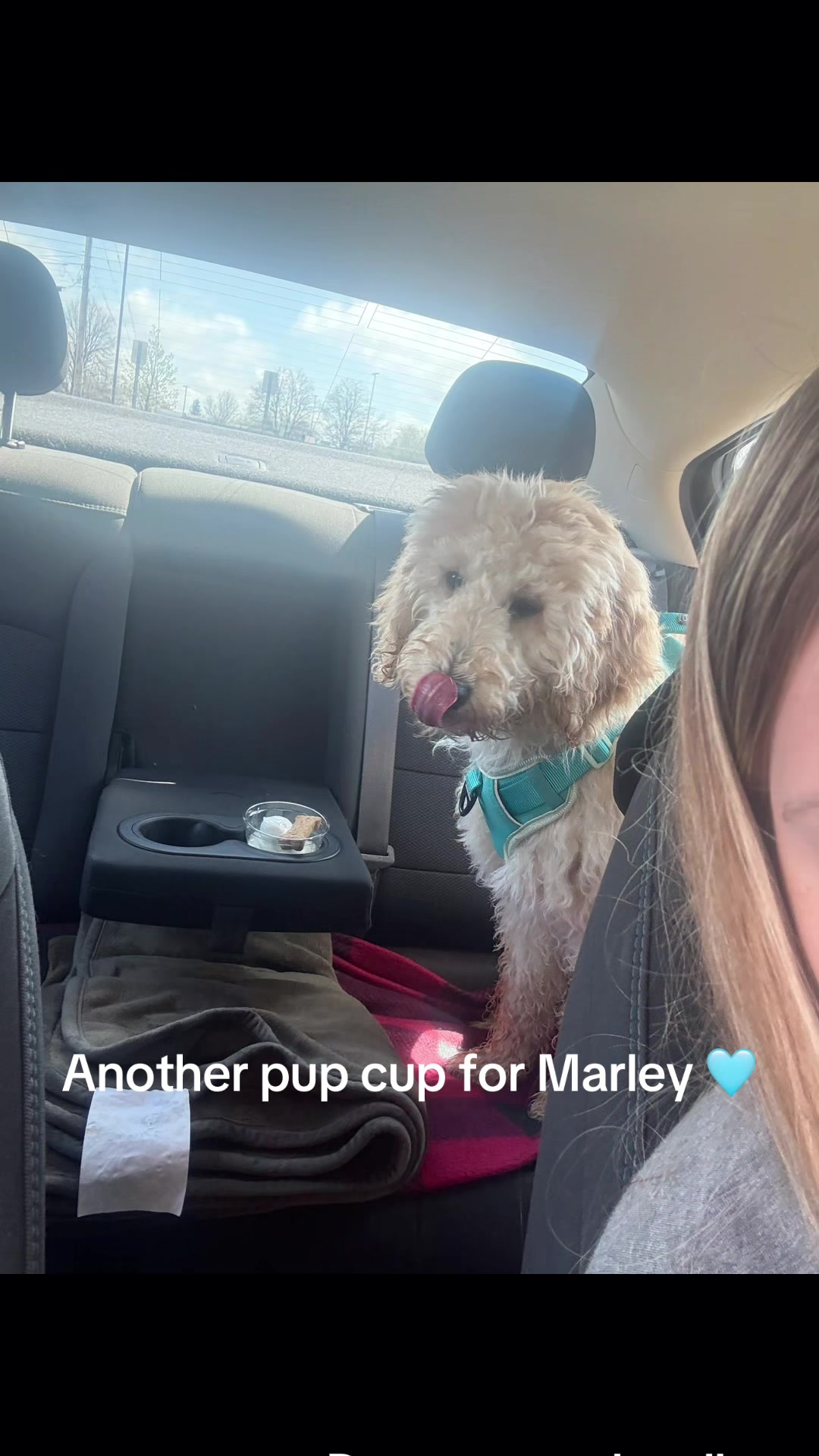 @marleymarshmallow