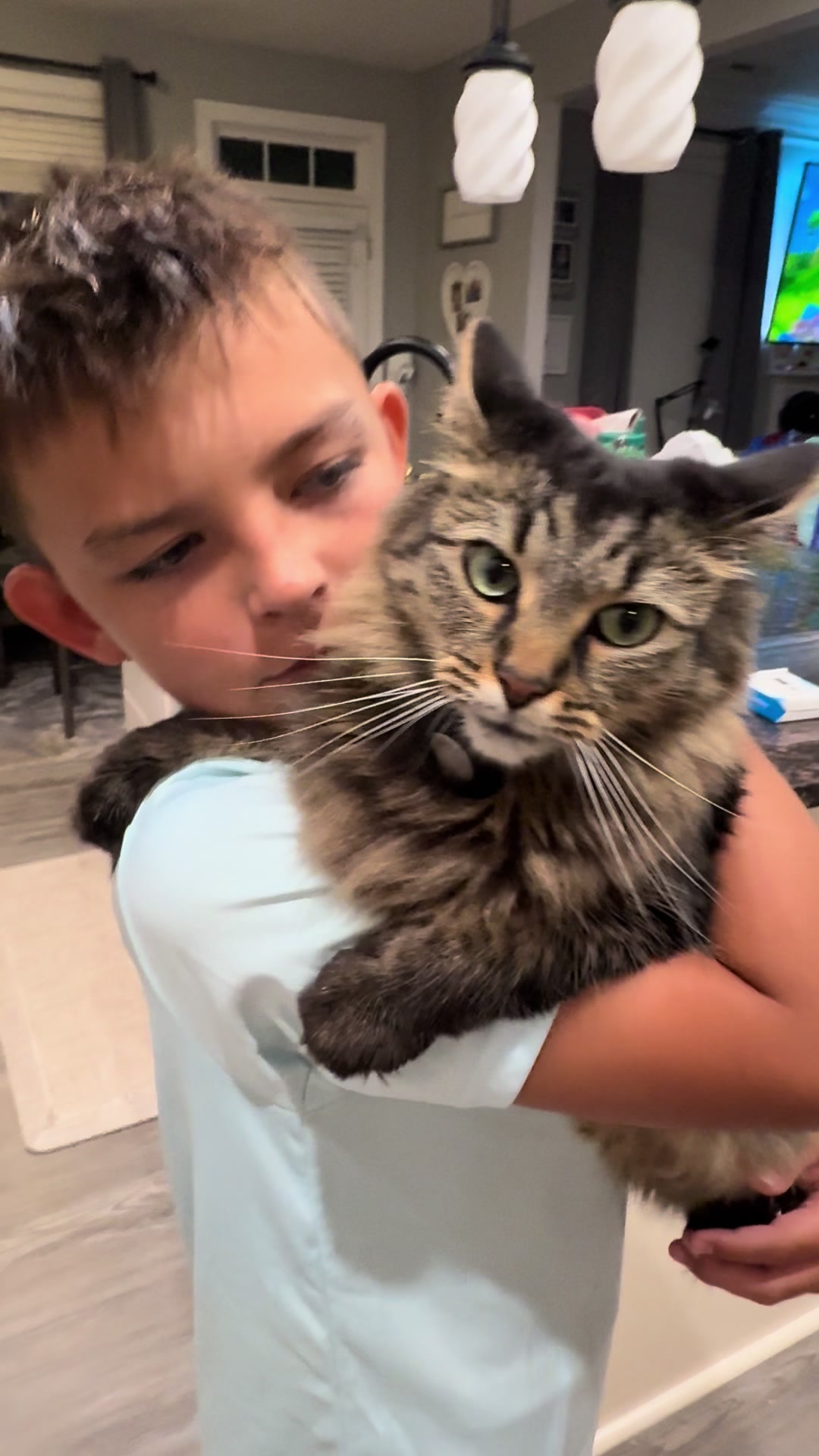 @RoxySnowballCatDrama