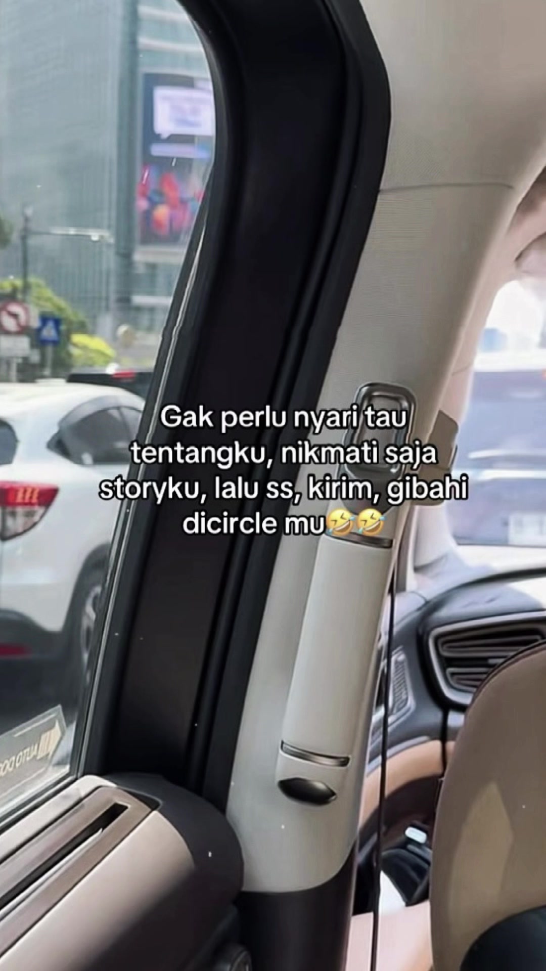 @﮼کامليا