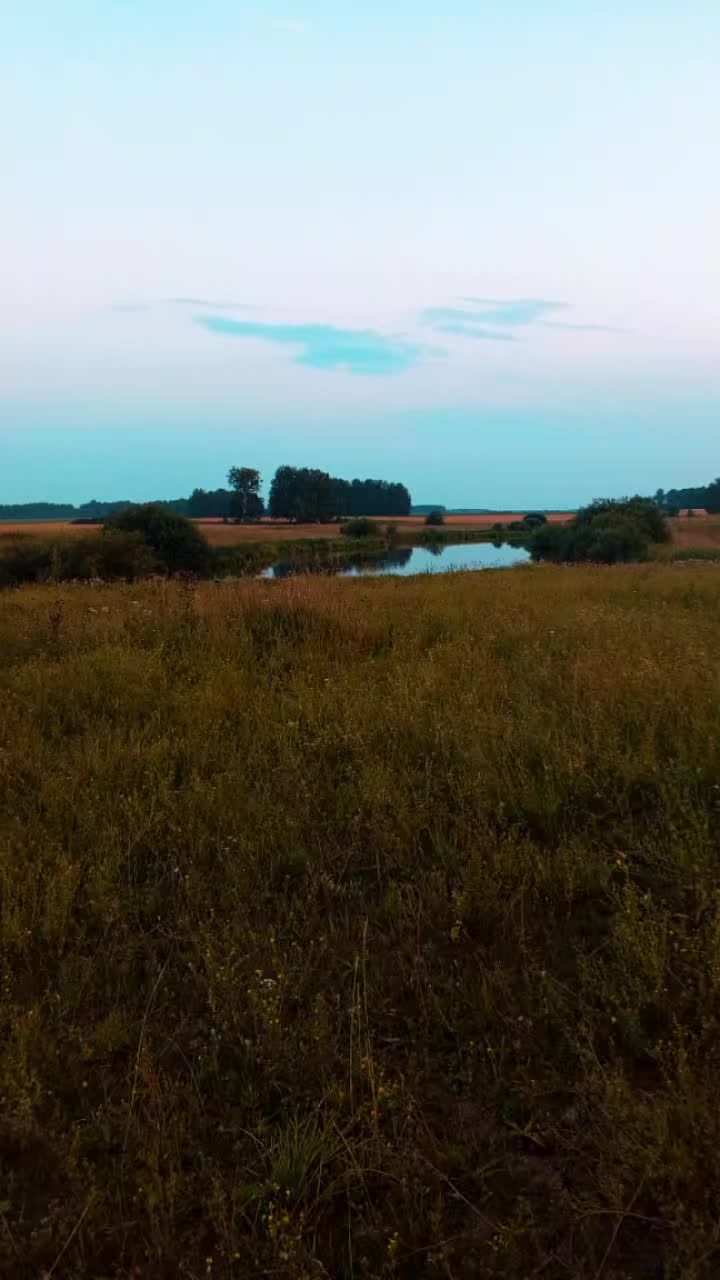 @светик