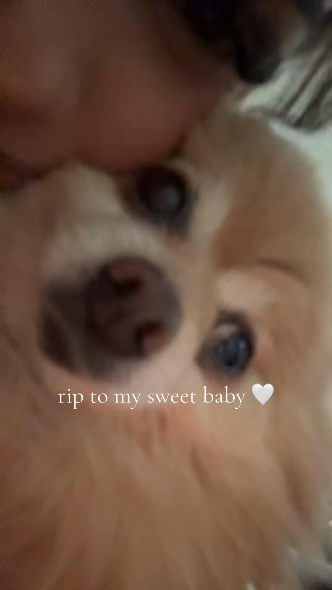 @𝒮