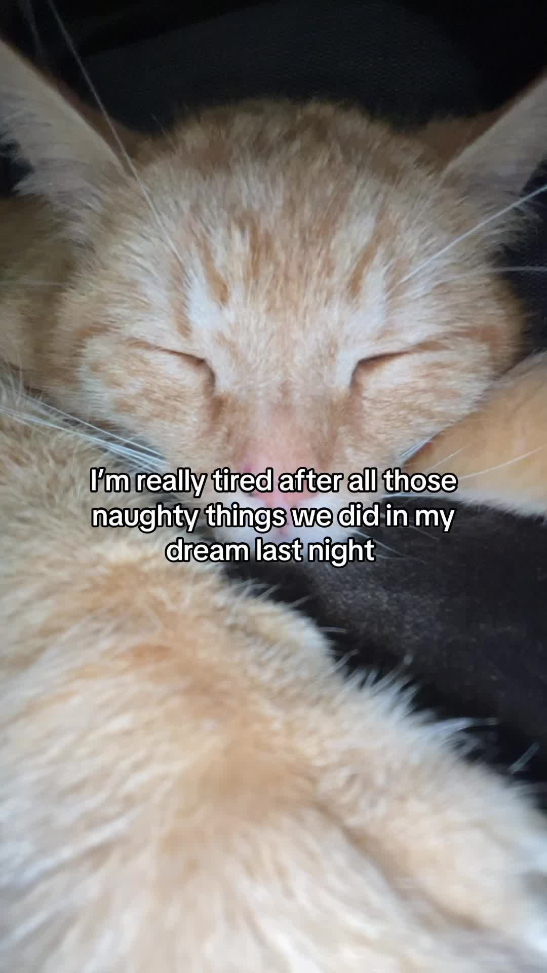 @Simba