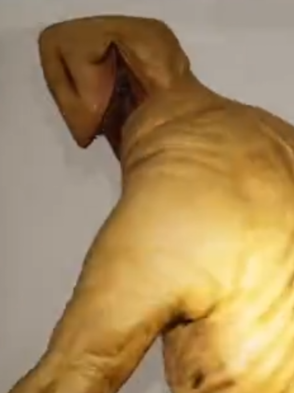 @Серьёзный Аноним