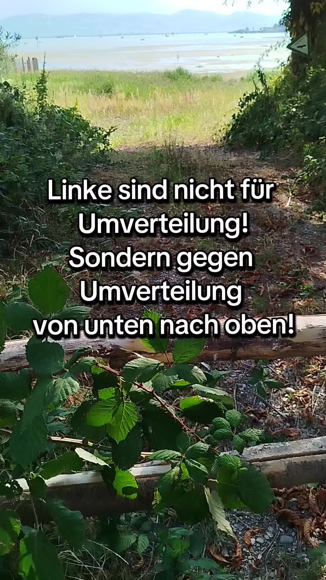 @Die Linke Lindau