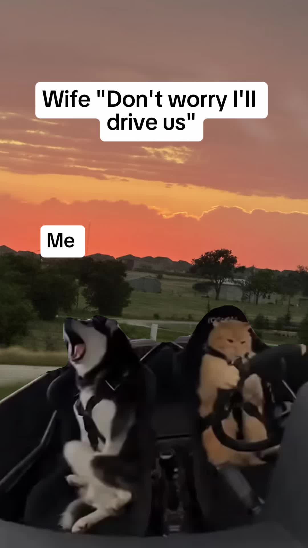 @Jake