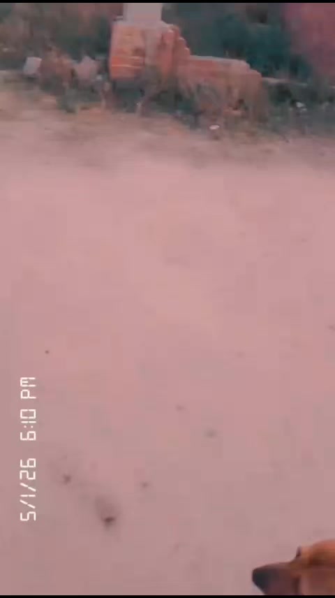 @khizer jutt