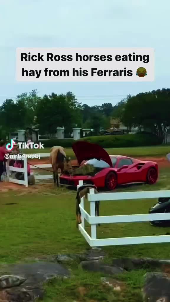 @Jay 2 💪🏽