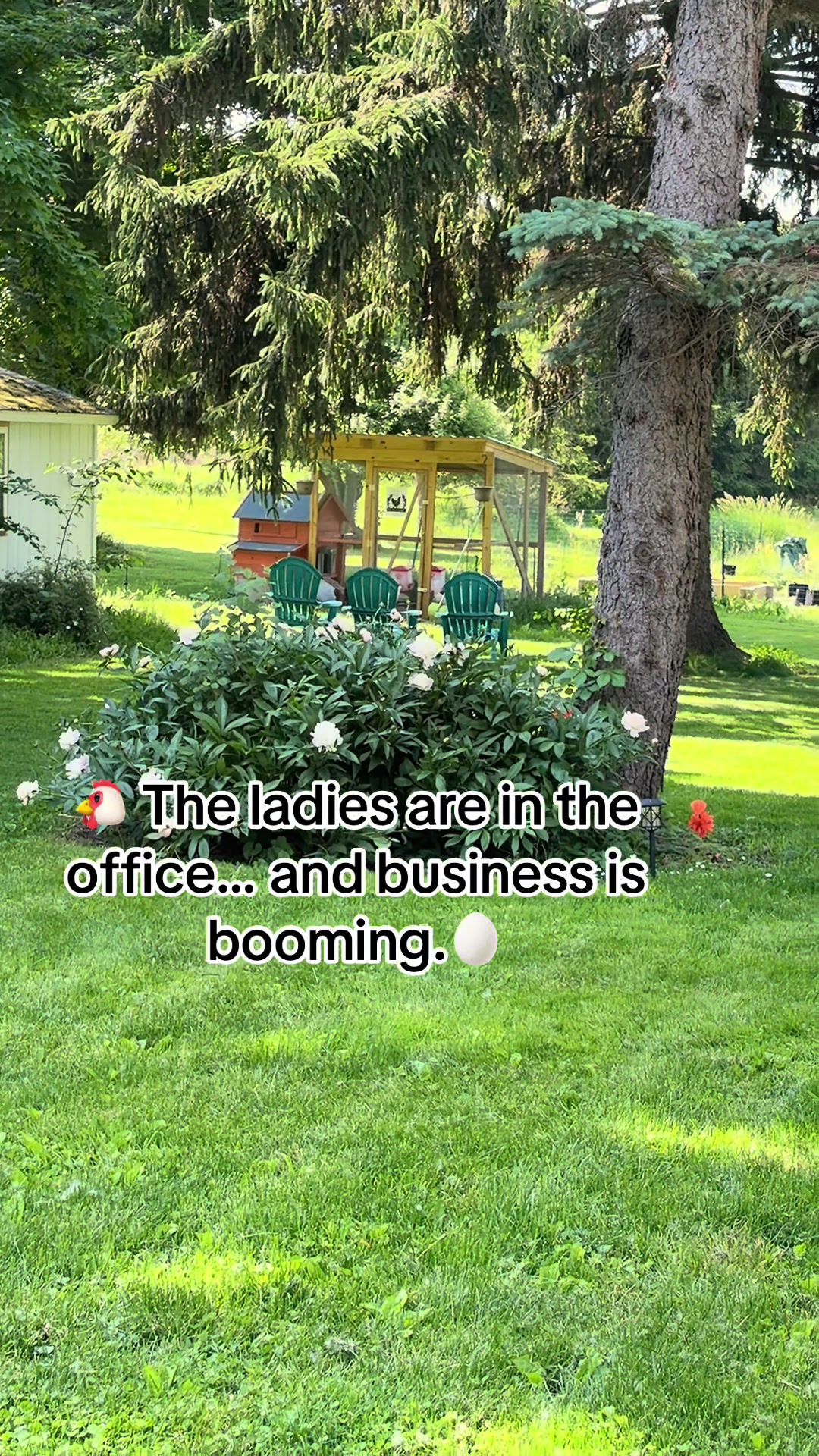 @Resistance Homesteaders
