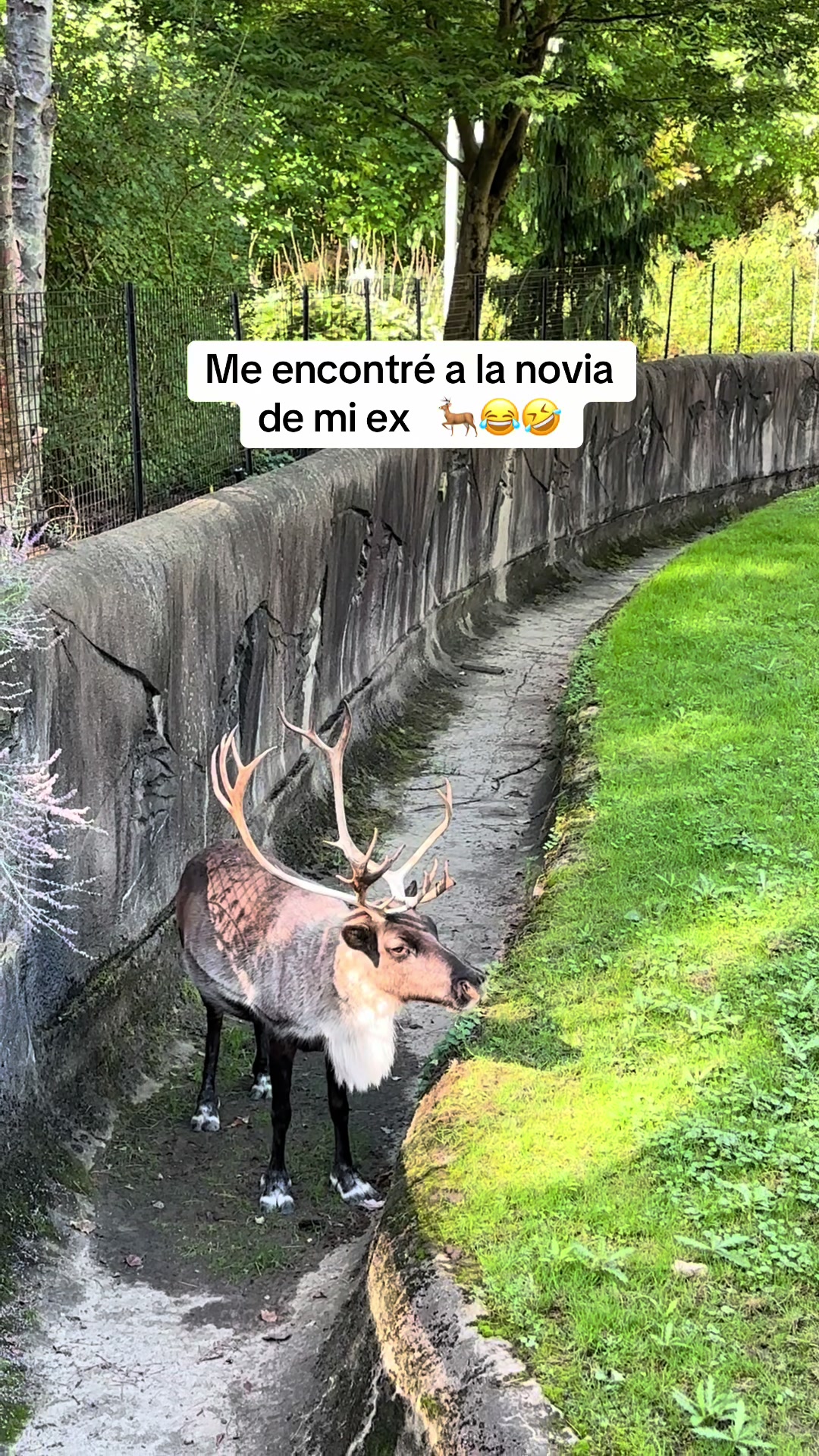 @Mayra Pérez ♥️🫶
