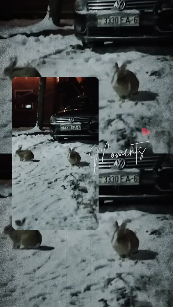 @K🥀is
