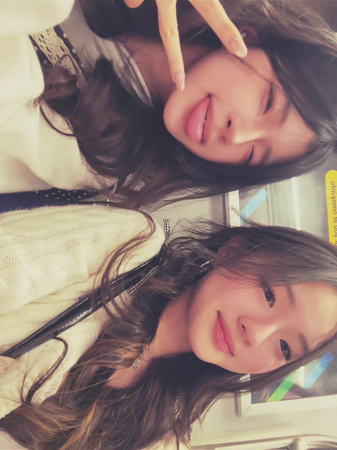 @lily