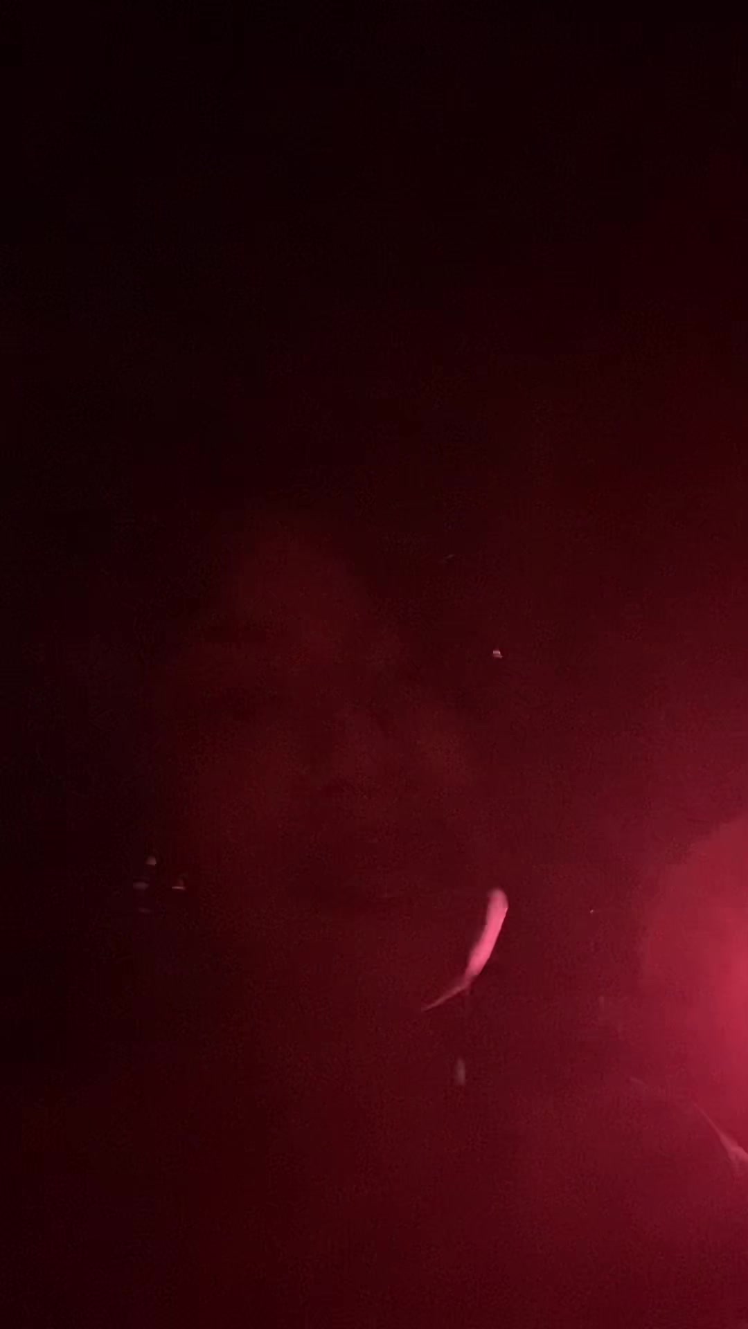 @tatii_188