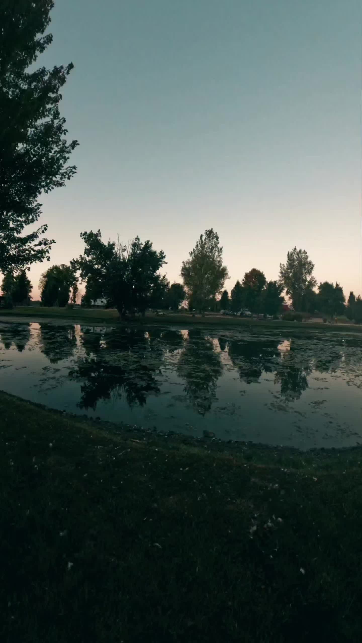 @joeymandigo