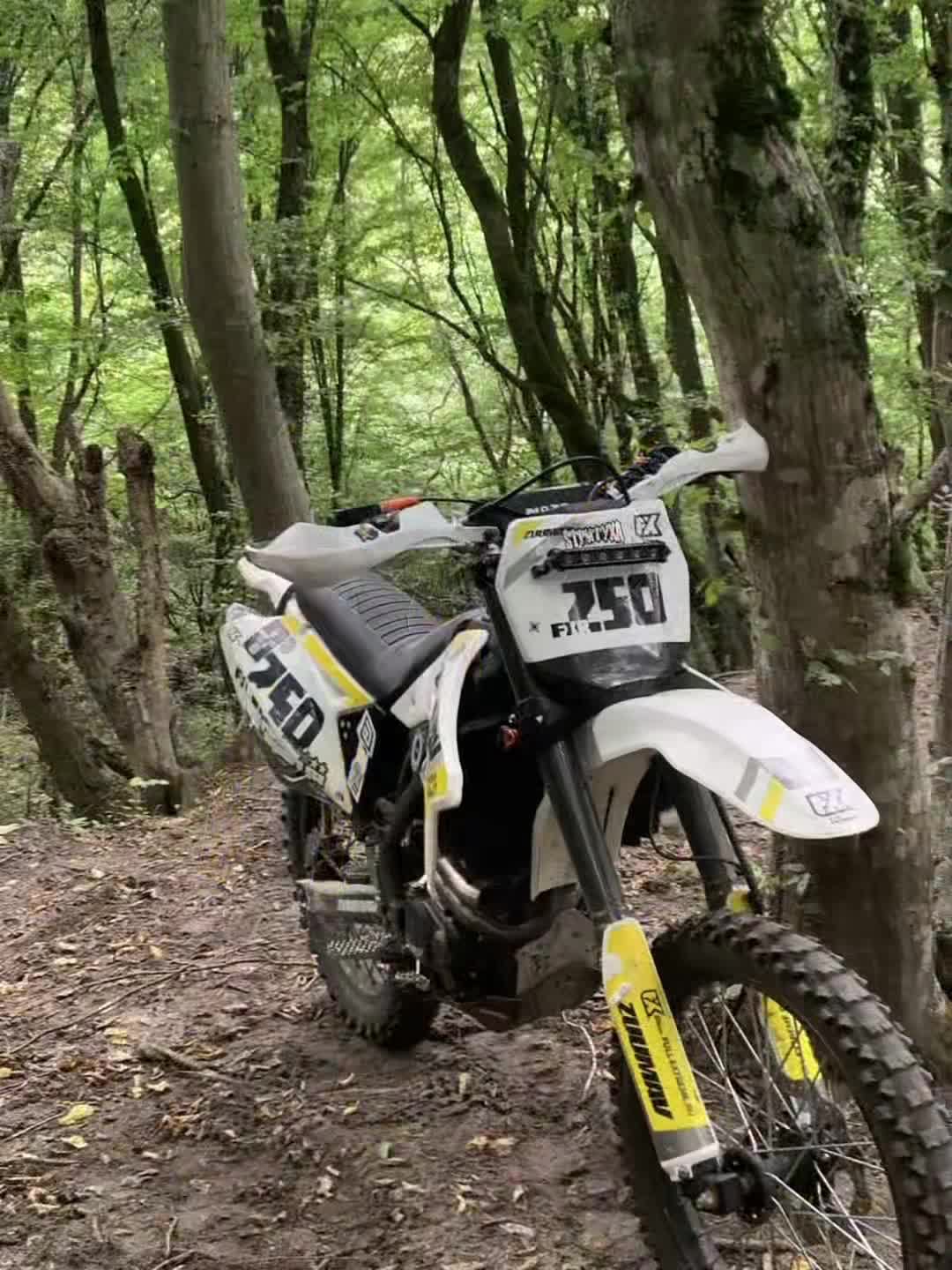 @gridin444