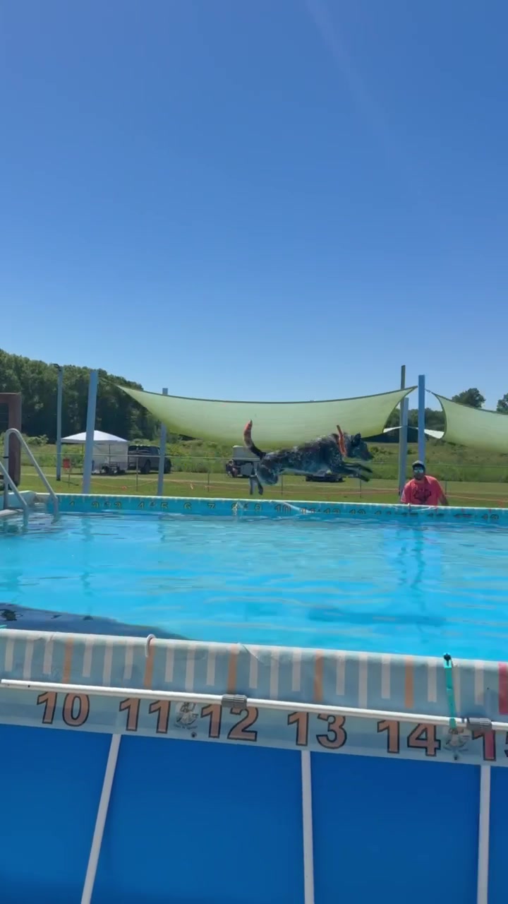 @Dukes K9 Dash n Splash
