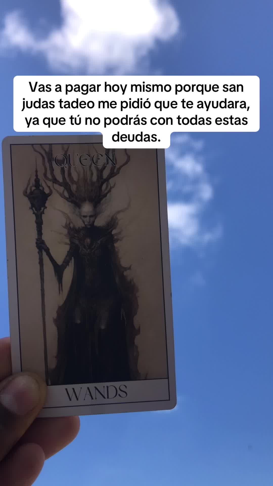 @San Miguel Tarot Sin Secreto🔯