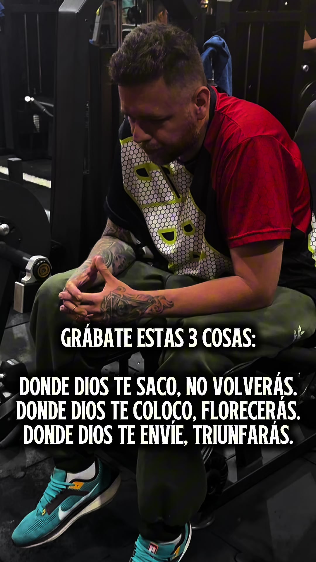 @Vikingo locuras