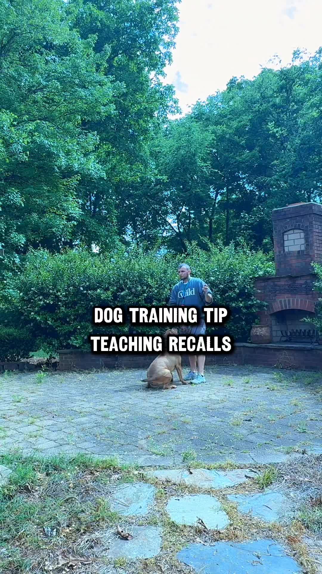 @Lost Boys K9 Academy