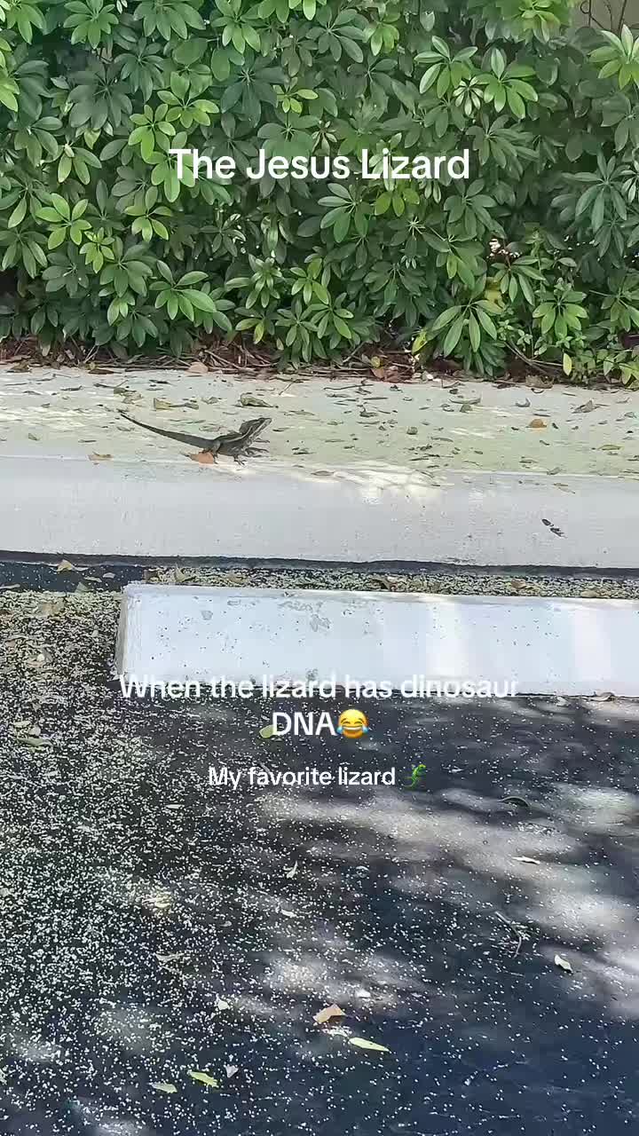 @FreeGod_Sonny☀️