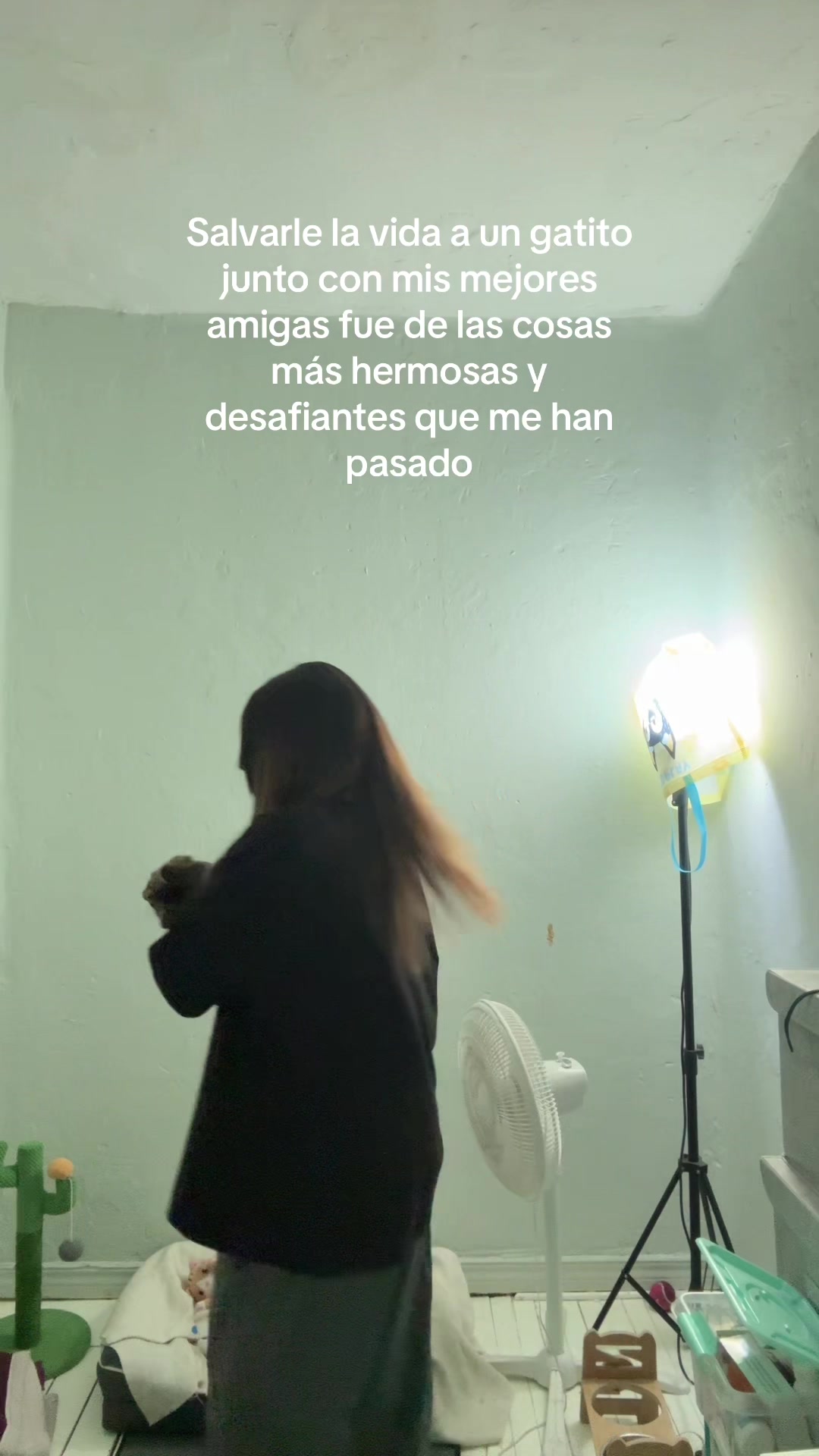 @Amorr.ir