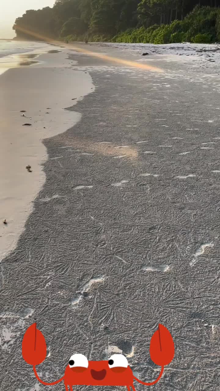 @🤣Vid&eacute;os Dr&ocirc;les.Zzz