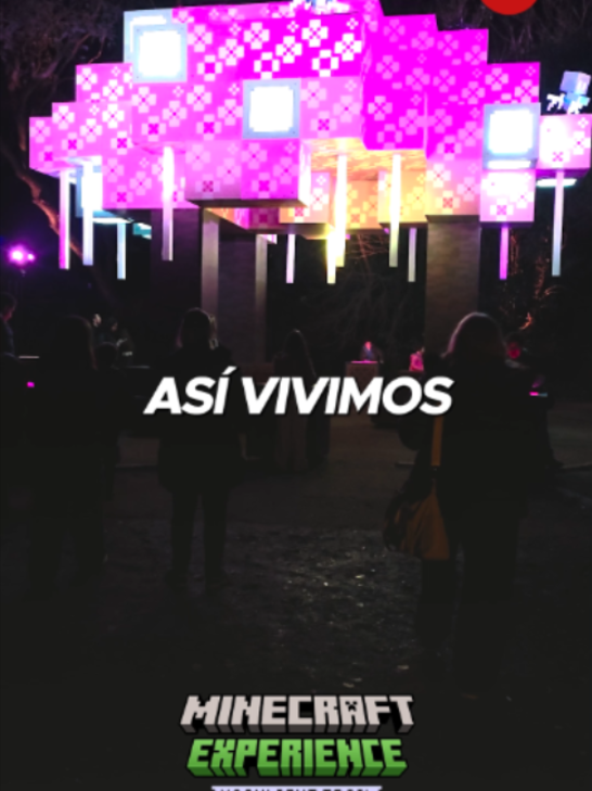 @Canal 26