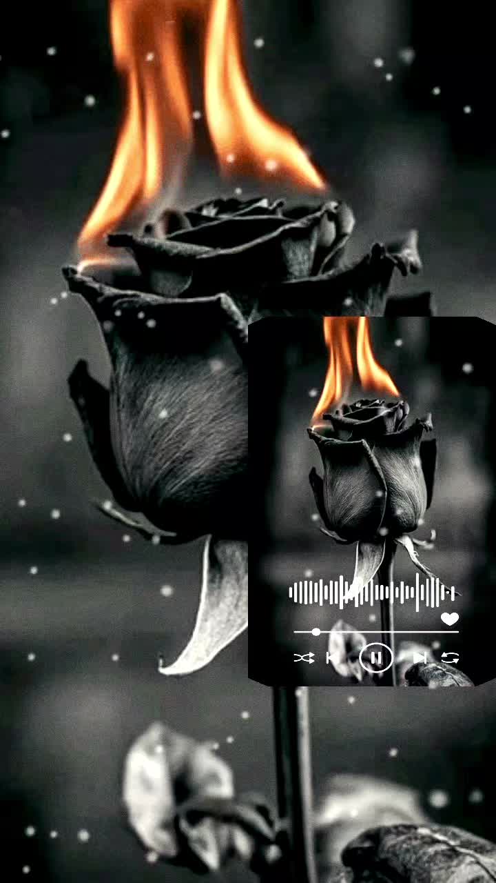 @🇦🇫._.کابل._.جان._.♡._.🇦🇫