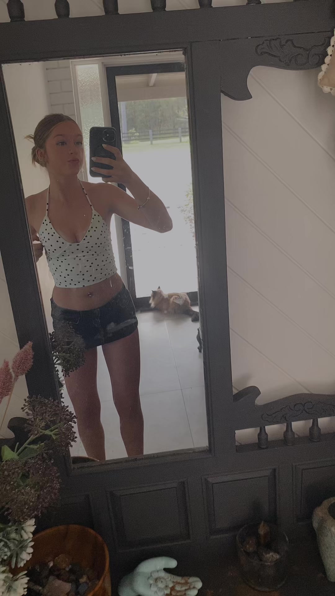 @daisyspam