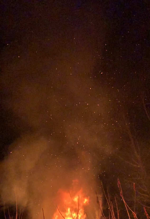 @Norsepagan