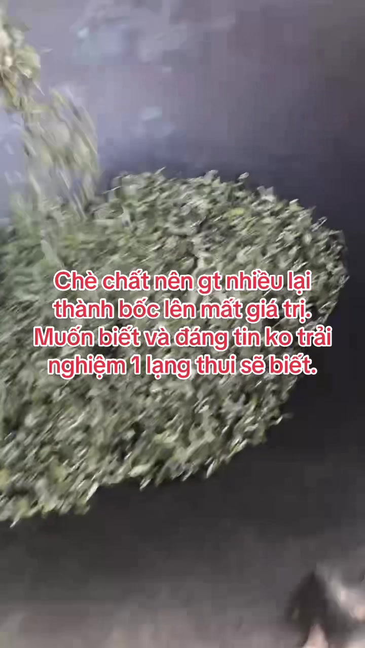 @Hoa s&uacute;n ( nh&iacute; nhố)