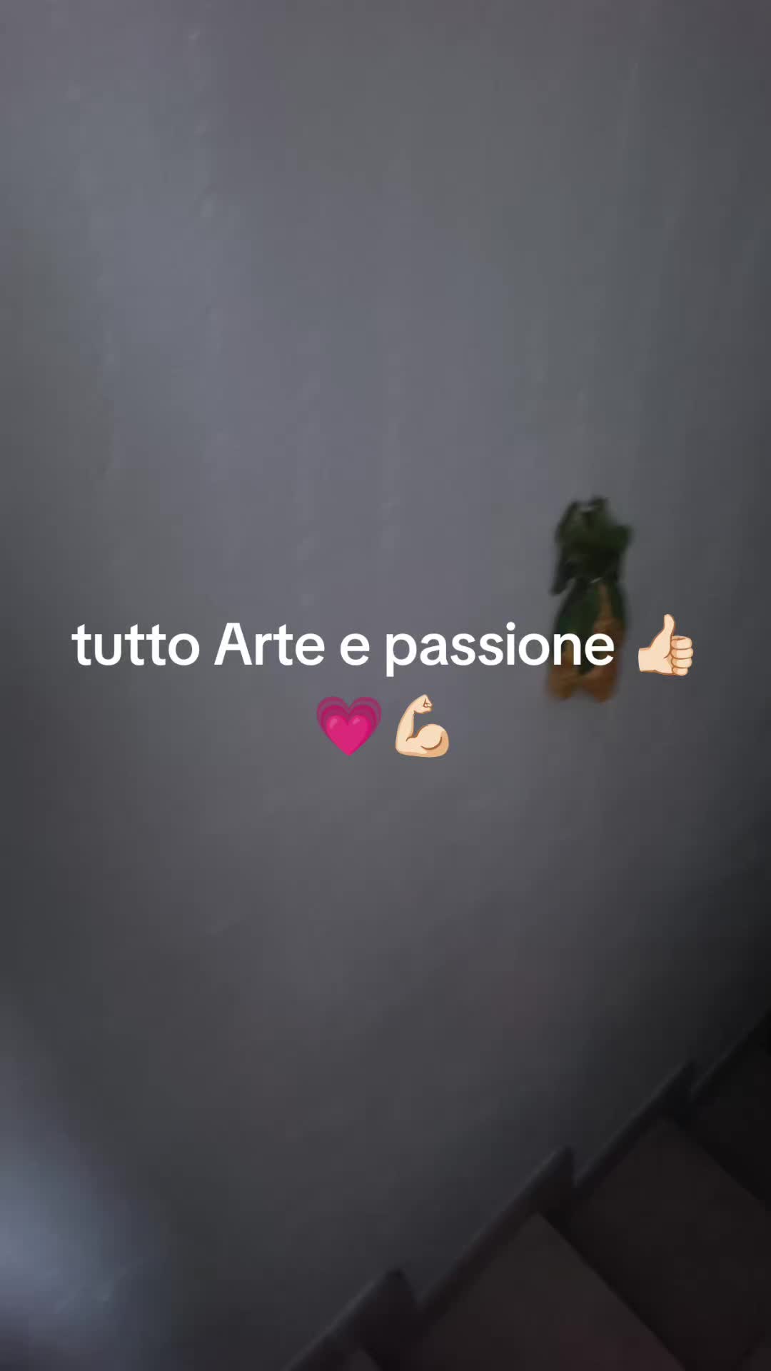 @Patriziakekapokkia