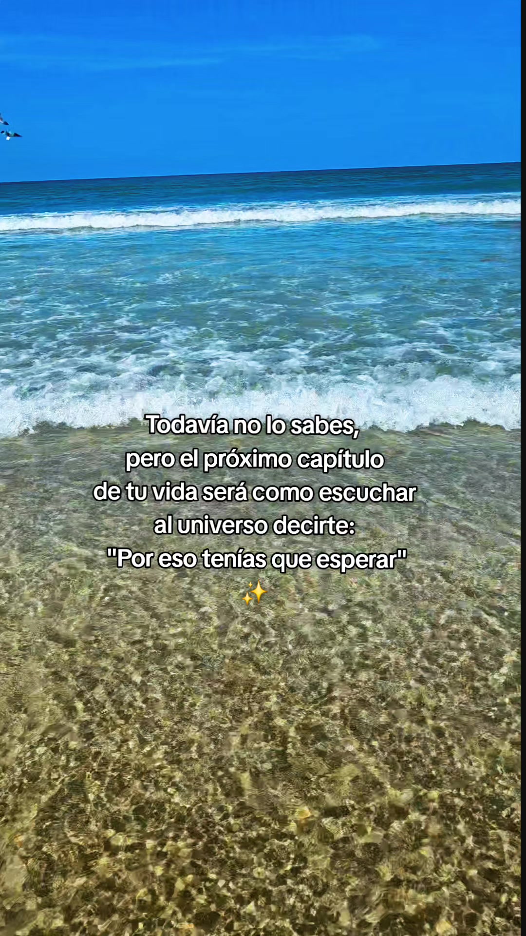 @ale