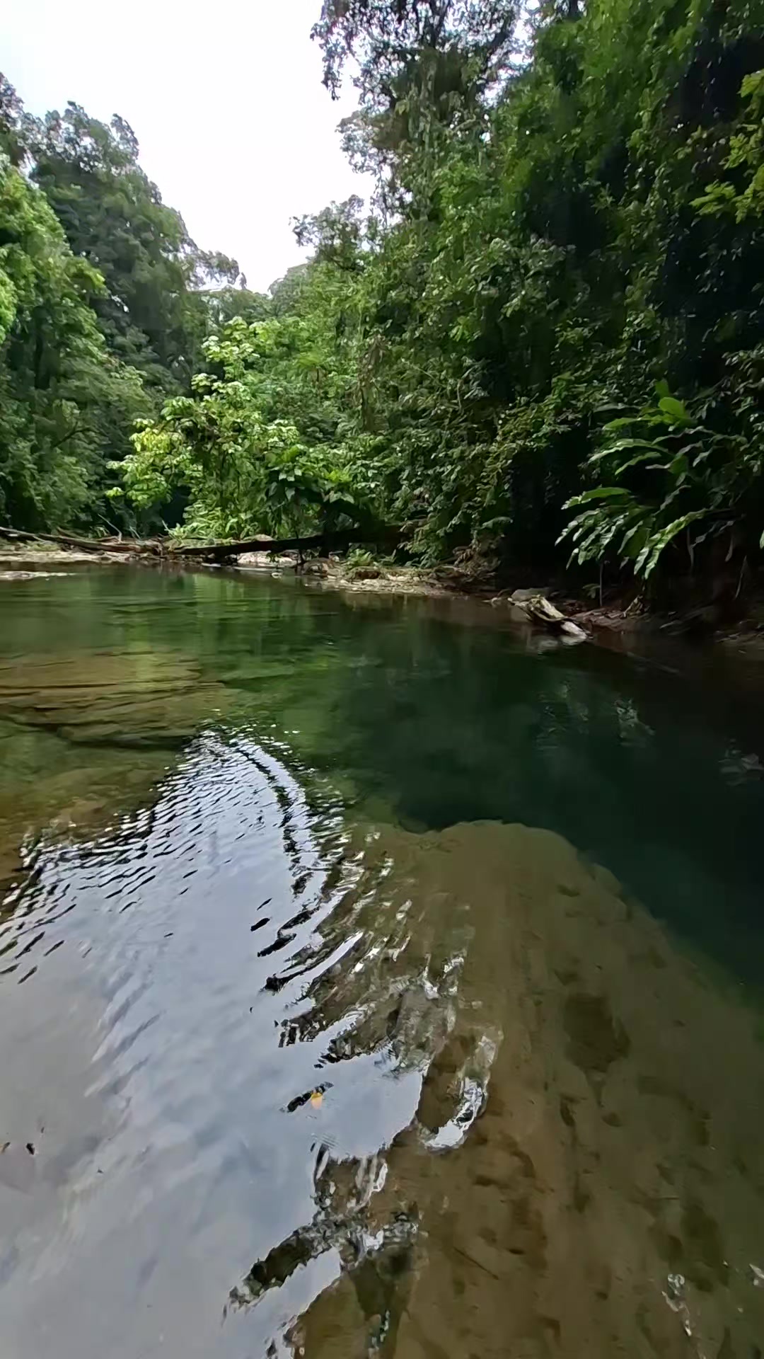 @HikeLife Adventures